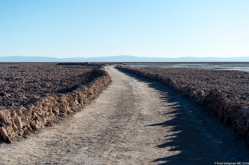 20160329_183656 D4S.jpg - Parque Laguna Chaxa